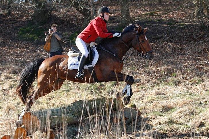 Dansk Varmblod Chico - Babyjagt den 25. Marts 2012<3 billede 8