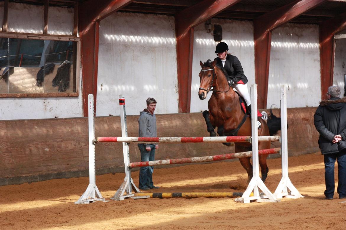 Anden særlig race Greta Alfarvad Z billede 5