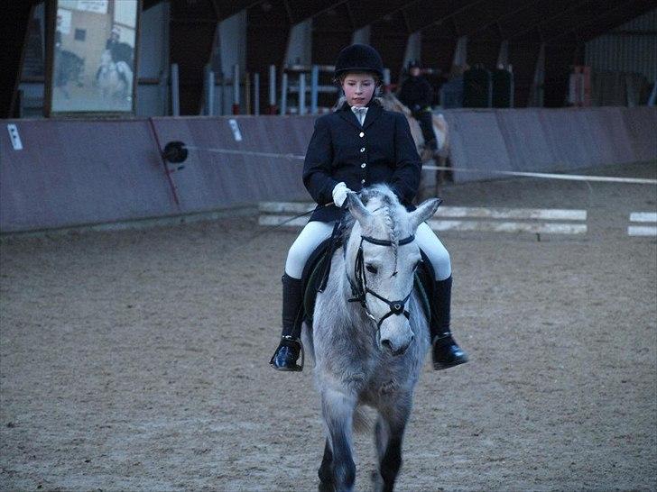 Anden særlig race Tøsen DreamTeam - Mig og tøsen til hendes første stævne <3 billede 7