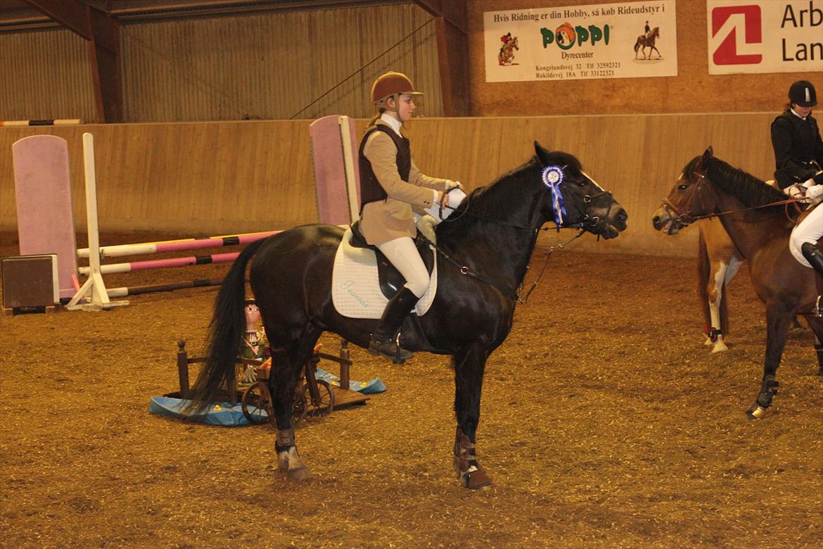 New Forest Adam af wrångebäck - Mit første stævne og en anden plads!! Stolt!!  billede 8