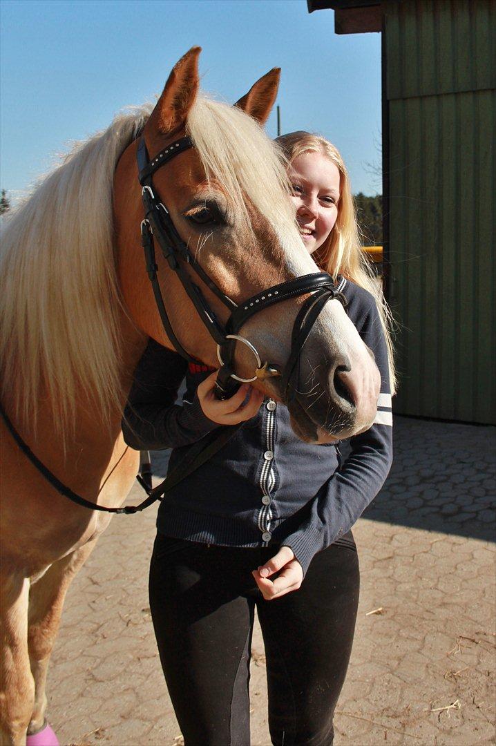 Tyroler Haflinger Flora-Fie billede 11