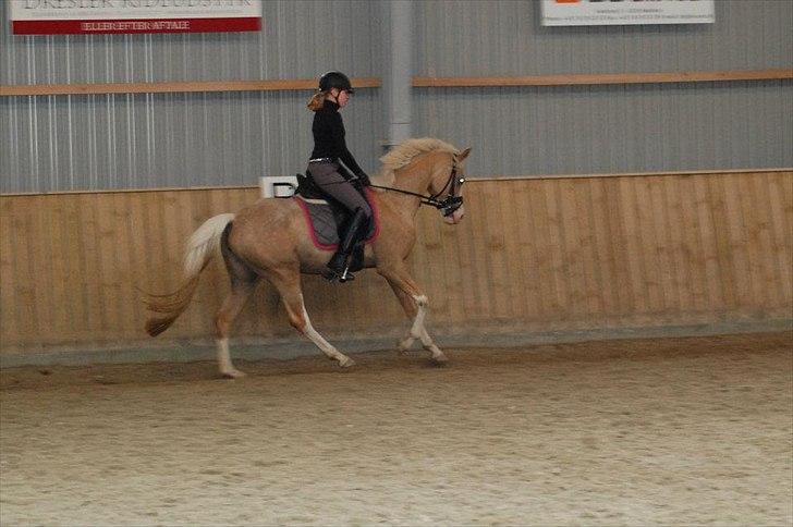 DSP Goldfever Hella Bella billede 9