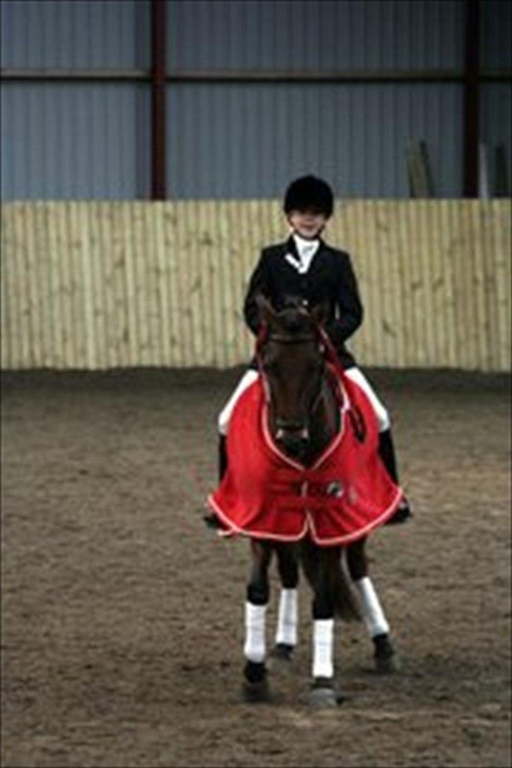DSP Prins Orloff B-pony halv A-pony. (SOLGT) - Da jeg vandt distiktmesterskabet 2010. billede 4