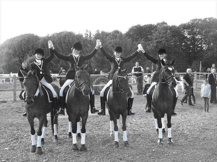 DSP Prins Orloff B-pony halv A-pony. (SOLGT) - Holdet til DM 2010. billede 14