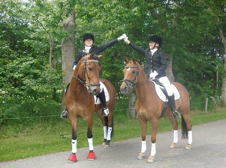 DSP Prins Orloff B-pony halv A-pony. (SOLGT) - Da vi vinder distiktmesterskabet 2011.
mig th. Alina tv. billede 16