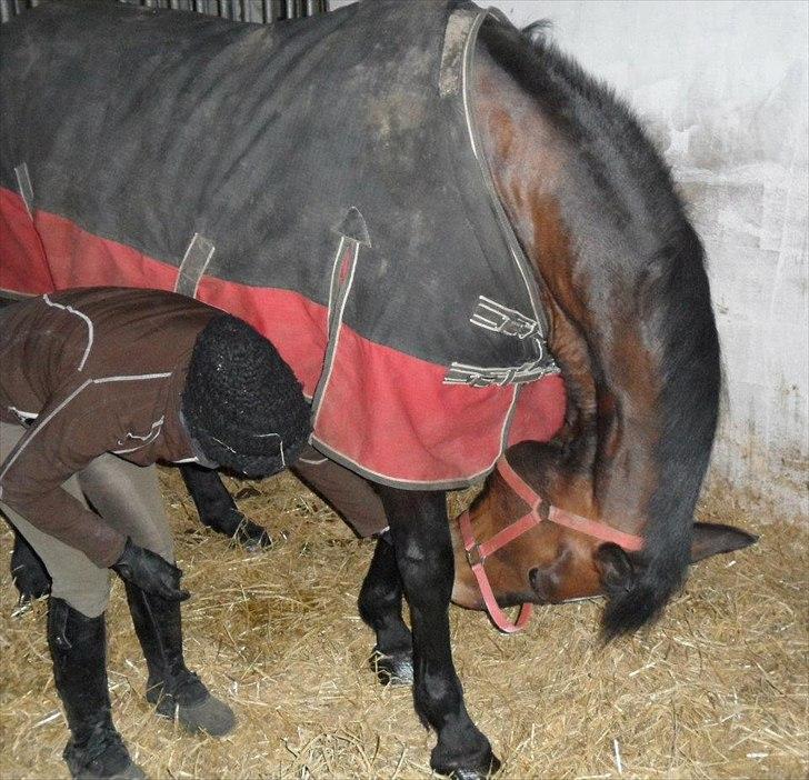 Oldenborg Urnette Af Ålborgdal - Lidt stræk ud :)  billede 9