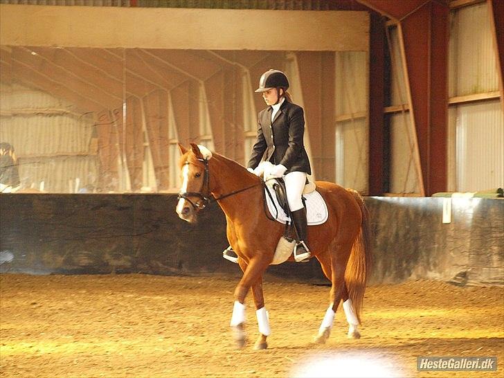 Anden særlig race joy<3  "vsr" - you're my star I'm happy for you..<3<3
foto: Caroline Larsen
tak :) billede 15