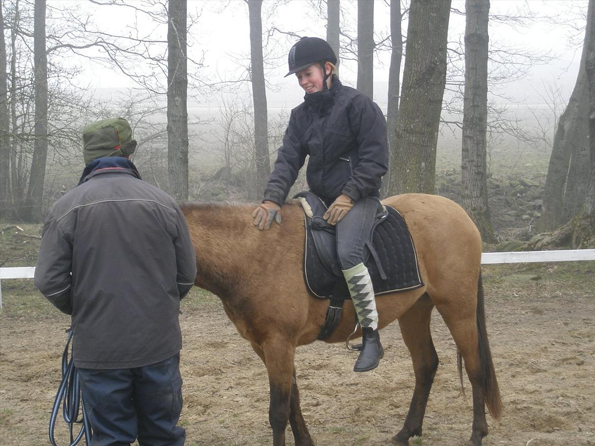 Anden særlig race Gucci - FØRSTE gang nogen/jeg sidder på hende :) billede 16