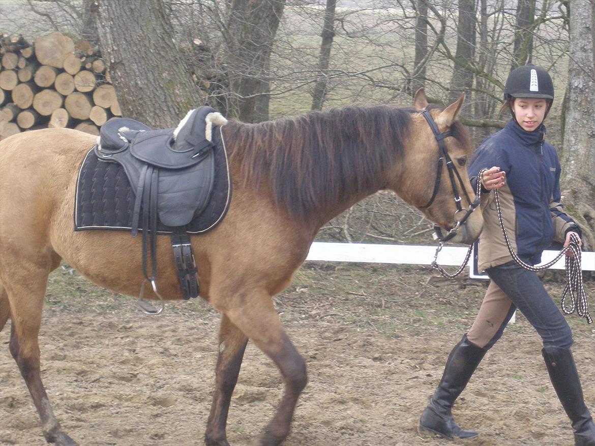 Anden særlig race Gucci - min søster Sarah trækker lidt rundt :) billede 17