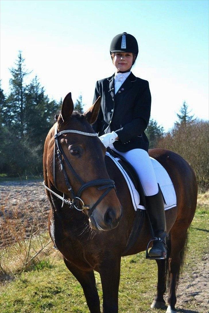 Anden særlig race Cornelia - En skide stolt ejer af den mest fantastiske pony! :-)
foto: laura K billede 14