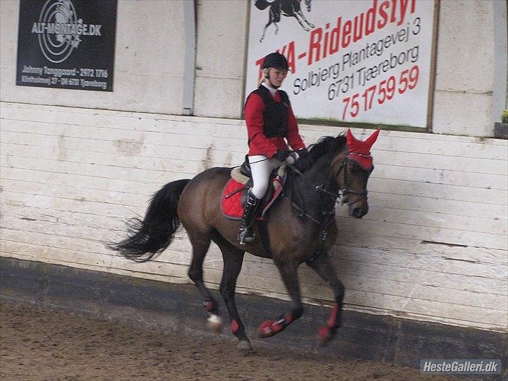 Anden særlig race Chiquita *Bananen* - Marts 2012 - Stævne tjæreborg :-) billede 2