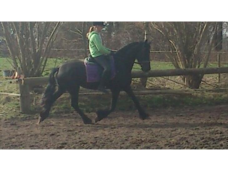 {{currentPhoto.altText}} billede {{currentPhoto.number}}