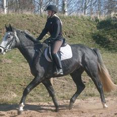 Anden særlig race Ferdinand Pascal