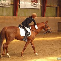 Trakehner Ferrari<3 Frejse, min ballademager!:*