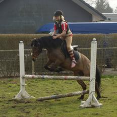 Anden særlig race Stjerne