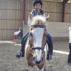 Pinto joejoe [rideskole]