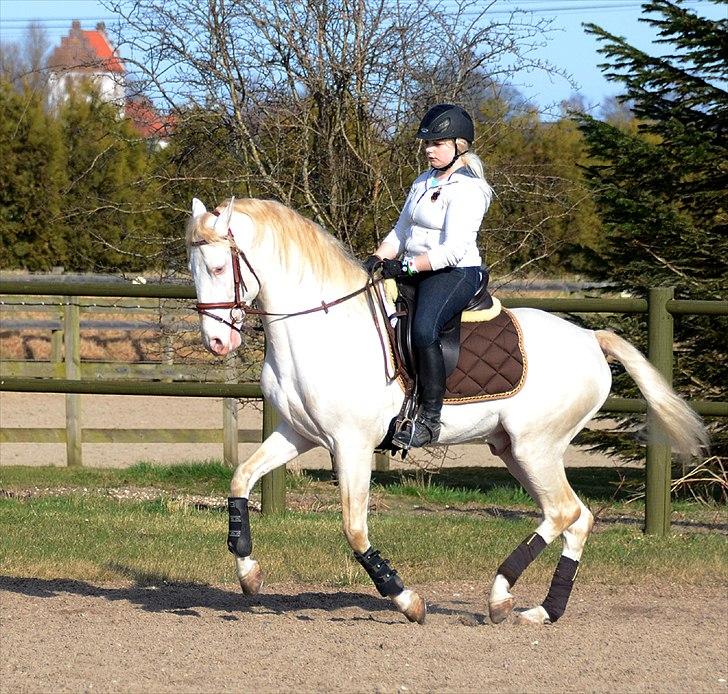 Lusitano Boreal - Galopanspring på min gyngehest :) billede 12