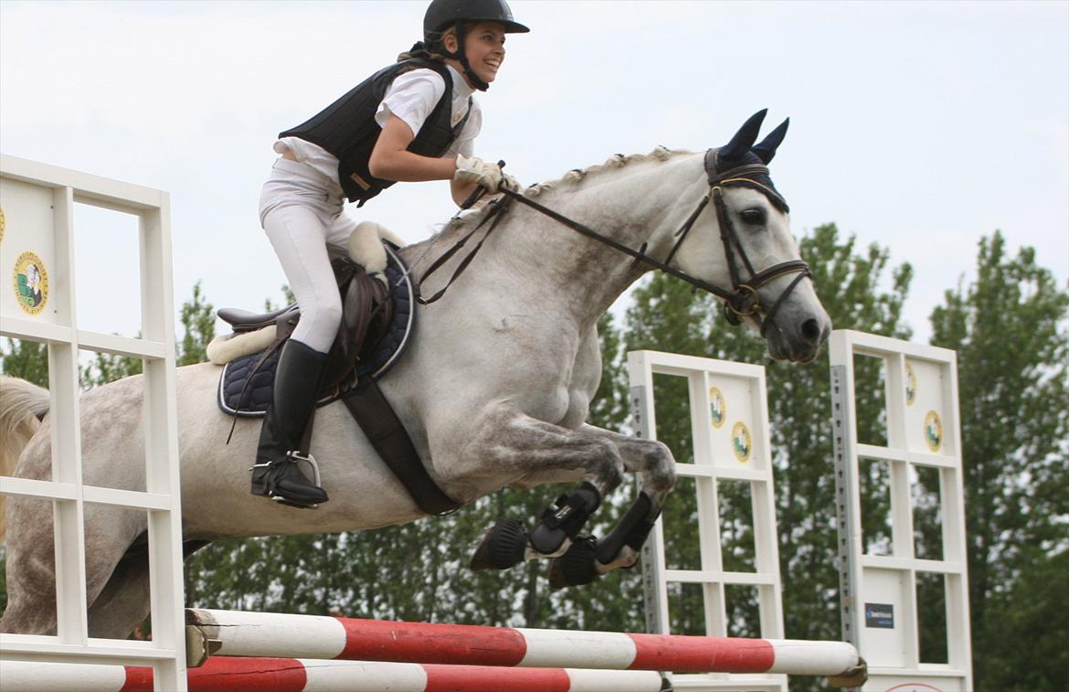 Shagya Araber (SH) Silke Mellemgård  B-Pony - Velkommen til Silke Mellemgård's profil  billede 1