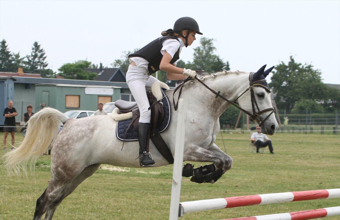 Shagya Araber (SH) Silke Mellemgård  B-Pony - ØMKR sommer 2010 billede 19