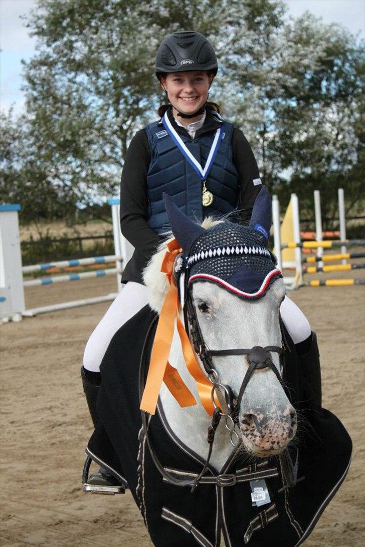 Anden særlig race Fantazy - Klubmesterskab 2011 spring billede 9