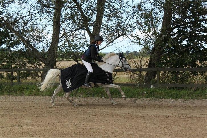 Anden særlig race Fantazy billede 10