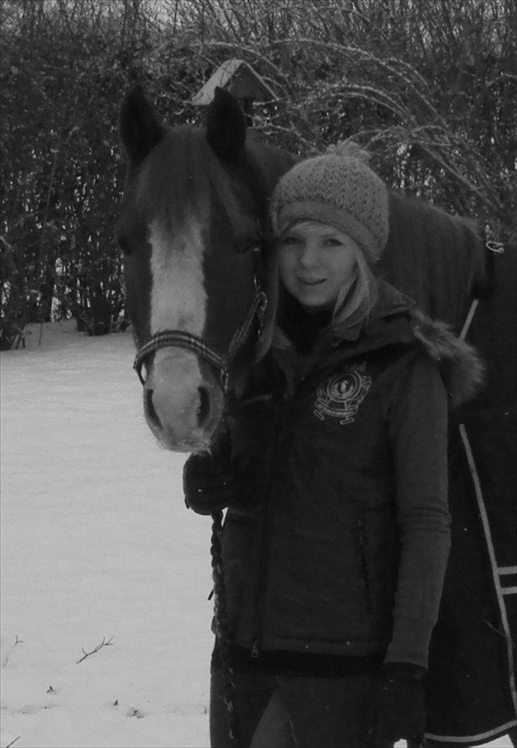 DSP Stald Blymes Pride billede 14