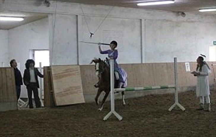 DSP Stald Blymes Pride billede 16