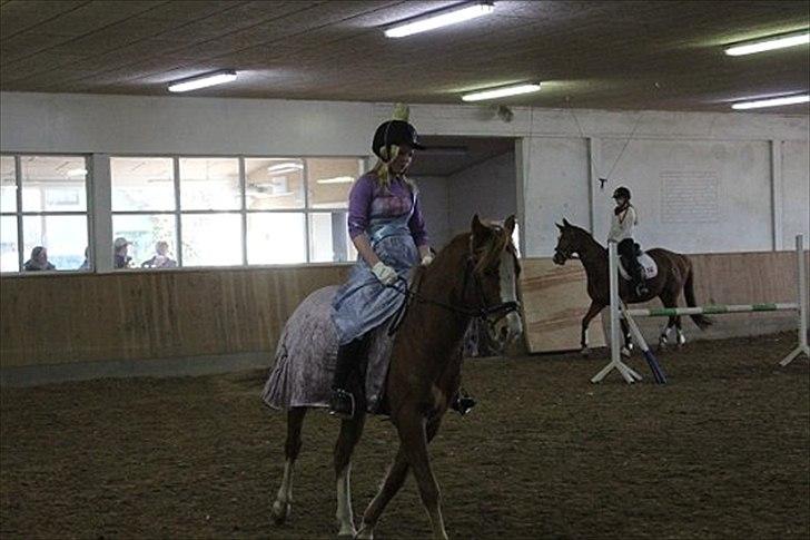 DSP Stald Blymes Pride billede 17