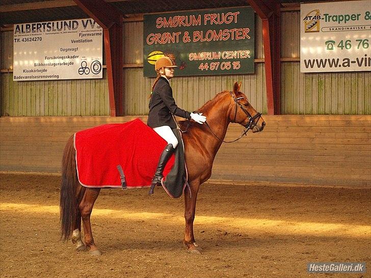 Trakehner Ferrari<3 Frejse, min ballademager!:* - Præmie-overrækkelse:)
"I will never let you go!<3"
Foto: Caroline Larsen. billede 5