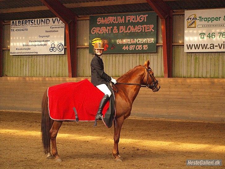Trakehner Ferrari<3 Frejse, min ballademager!:* - Tag mit hjerte flå det i stykker, jeg vil altid elske dig!
Foto: Caroline Larsen billede 6