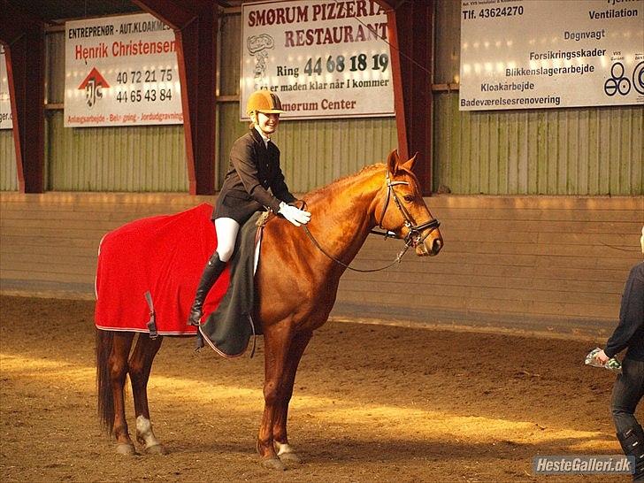 Trakehner Ferrari<3 Frejse, min ballademager!:* - Min ridelære stod inde i rytterstuen overfor og hoppede og jublede, da de sagde at jeg vandt:)!♥♥
Så derfor griner jeg, men også fordi jeg er så gald og stolt!♥♥♥♥
Foto: Caroline Larsen billede 10