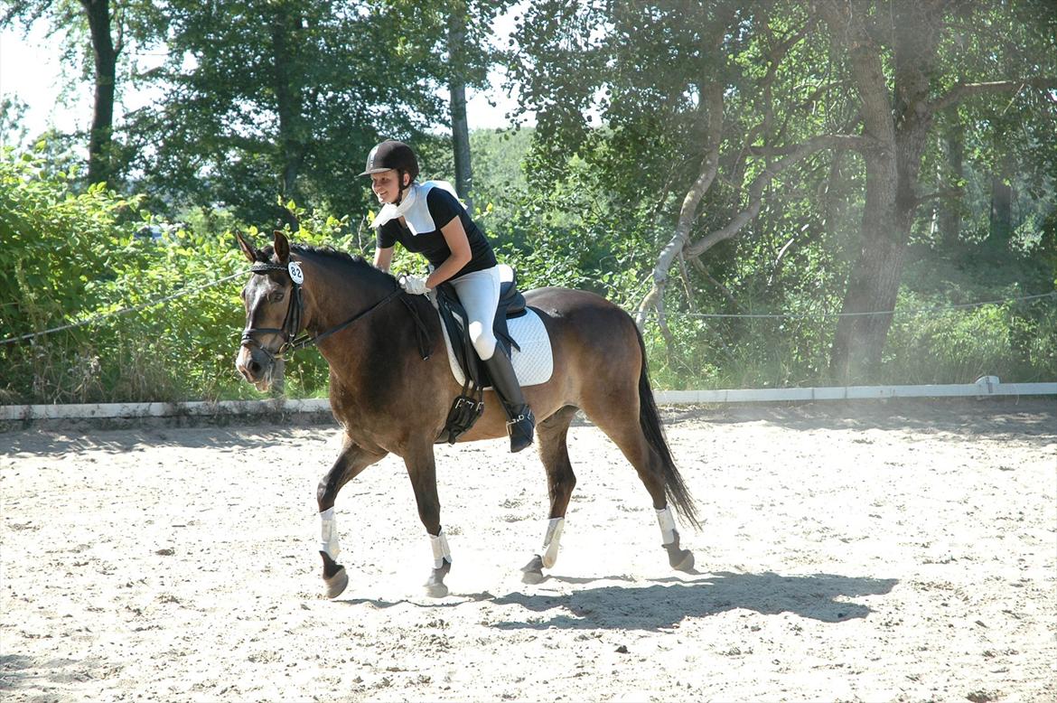 New Forest Elmholts Quick Step (: billede 10