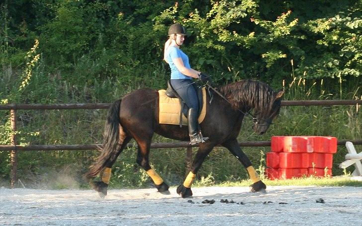 Frieser Jannete R - Dressurundervisning (Sommer 2010) billede 10