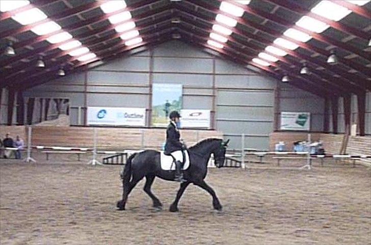 Frieser Jannete R - Stævnebillede fra Skørping taget fra video (sommer 2010) billede 13