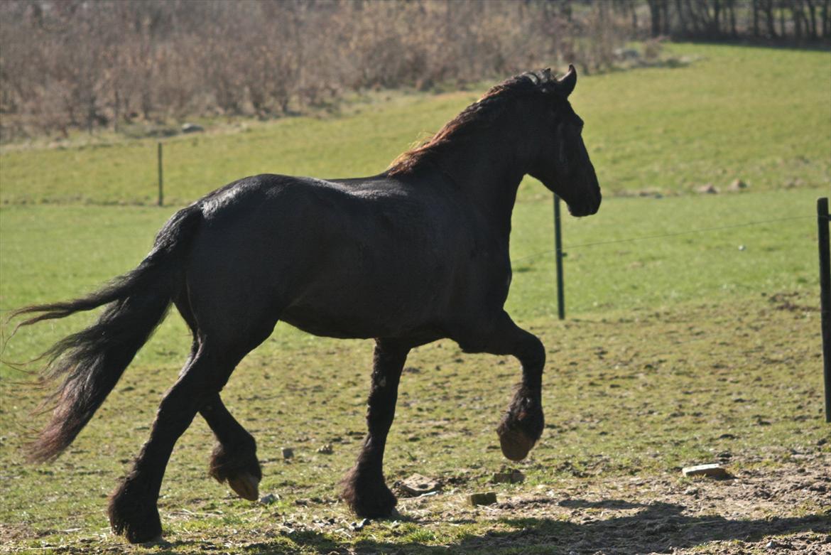 Frieser Jannete R - Omskrivning af "Mod det uendelig univers" : Mod den grønne græsmark" (forår 2012) billede 16