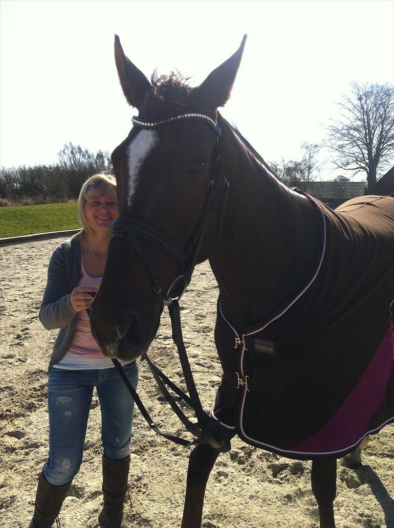 Dansk Varmblod Vallentina Bellisima - Utoldmodig hest, som ikke har tid til at få taget billeder. :) billede 10