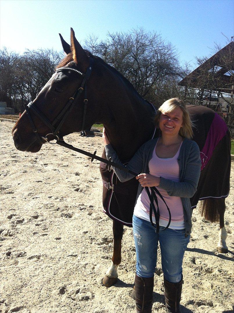 Dansk Varmblod Vallentina Bellisima - Ude og kigge på udendørs banen, og ren hygge i det gode solskins vejr. billede 5