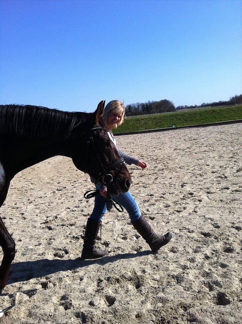 Dansk Varmblod Vallentina Bellisima - Lidt aktive var vi da.. :)  billede 7