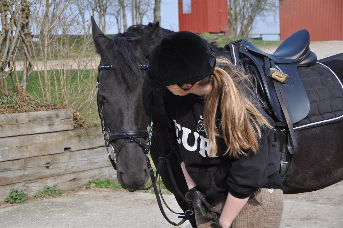 Frieser Tessa - Forår 12, Foto: Stine S. billede 5