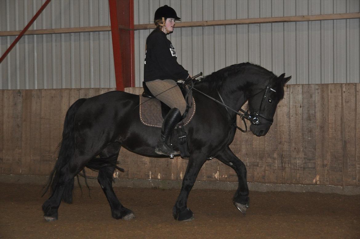 Frieser Tessa - En af de første gange jeg sidder på Tessa. Vinter 12, Foto: Stine S. billede 9