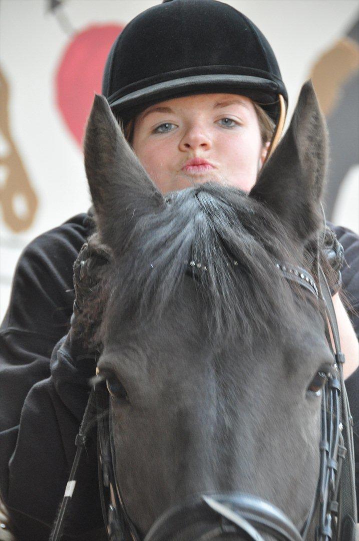 Frieser Tessa - Forår 12, Foto: Stine S. billede 13