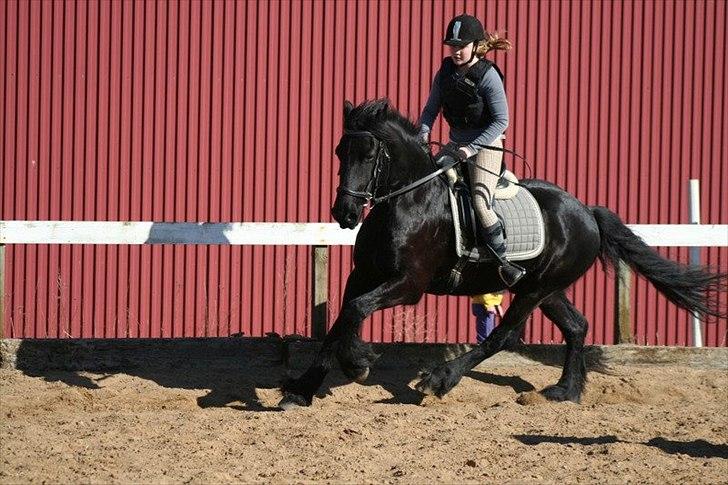 Frieser Heero<3  SOLGT:'( billede 17