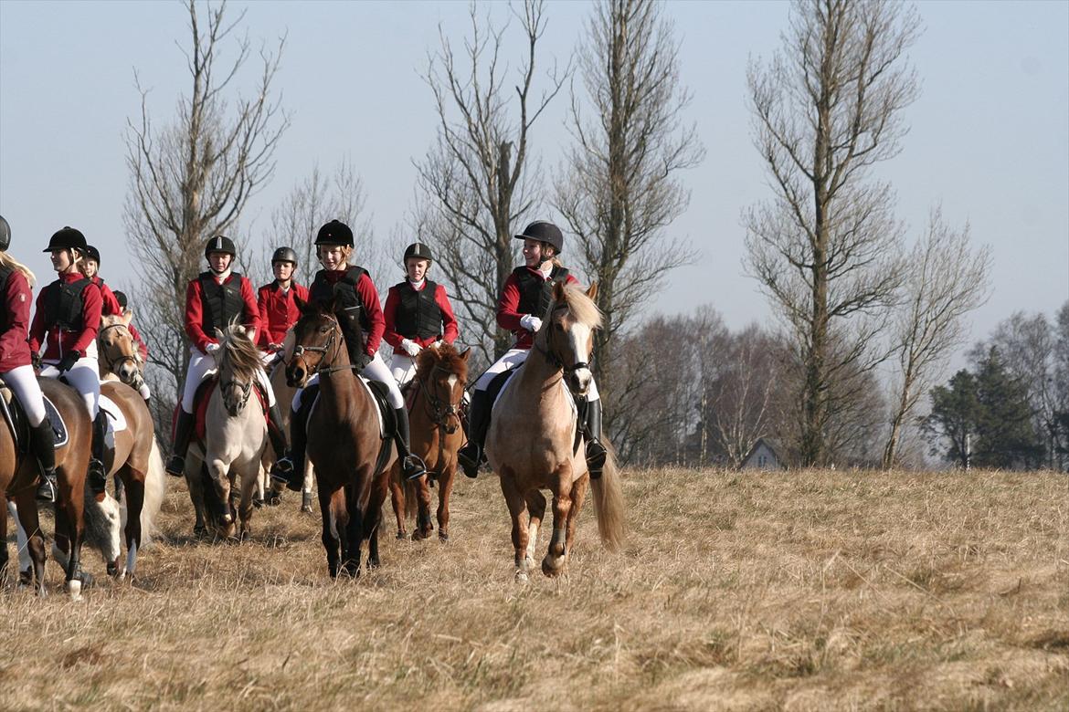 Anden særlig race Pablo - Babyjagt 2012 billede 17