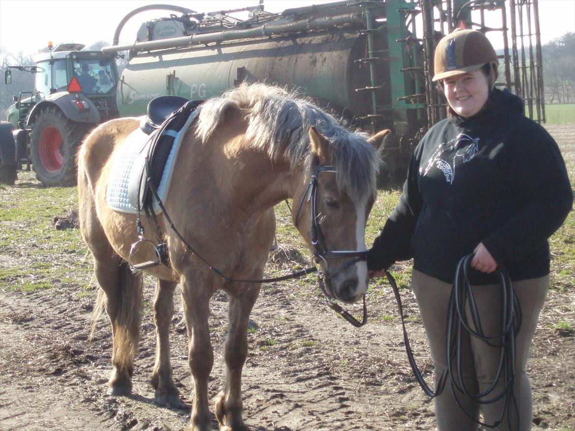 Anden særlig race RAS "Flotte fyr" - Ikke bange for den slags småting som en traktor med gyllevogn er billede 9