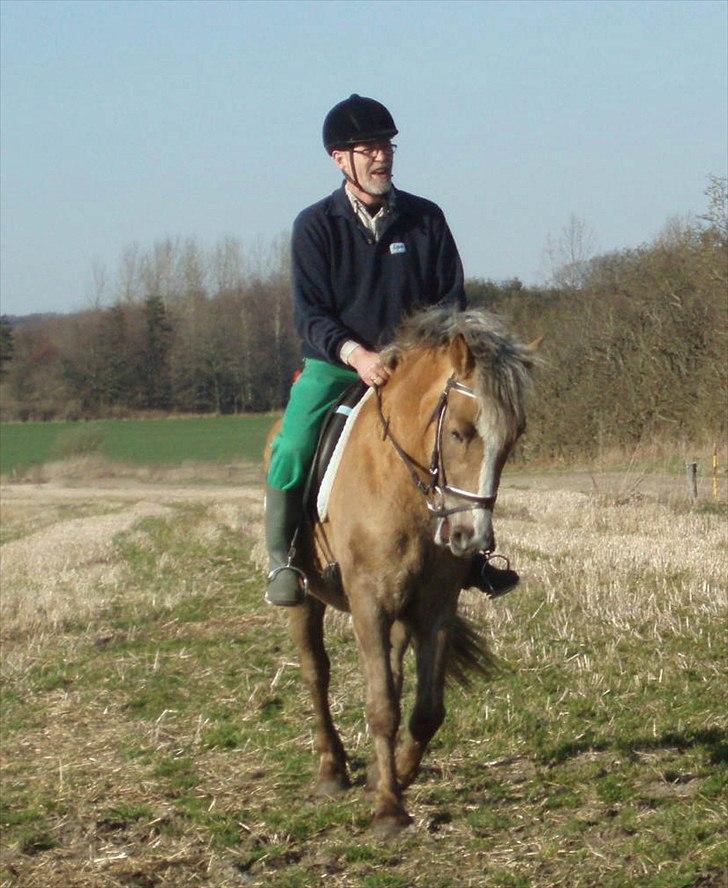 Anden særlig race RAS "Flotte fyr" billede 10