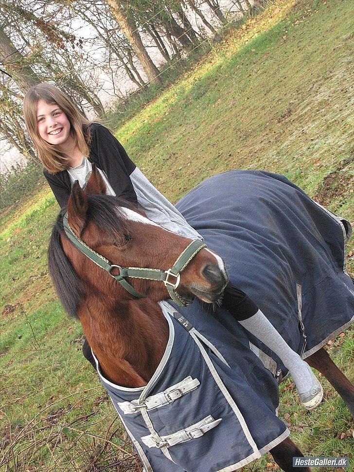 Anden særlig race Clarikken - Model billedet!★
 billede 7