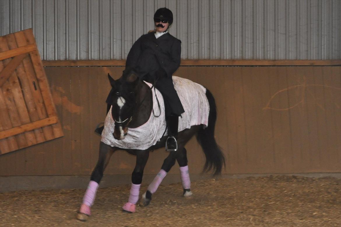 Oldenborg Cille May billede 12