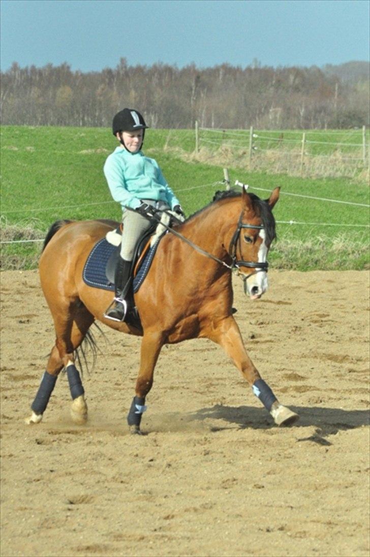 DSP Aluett <3 *min* (Savnet) - Sommer 2012 billede 9