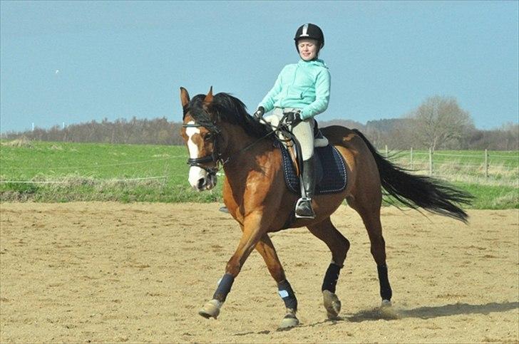 DSP Aluett <3 *min* (Savnet) - Sommer 2012 billede 10