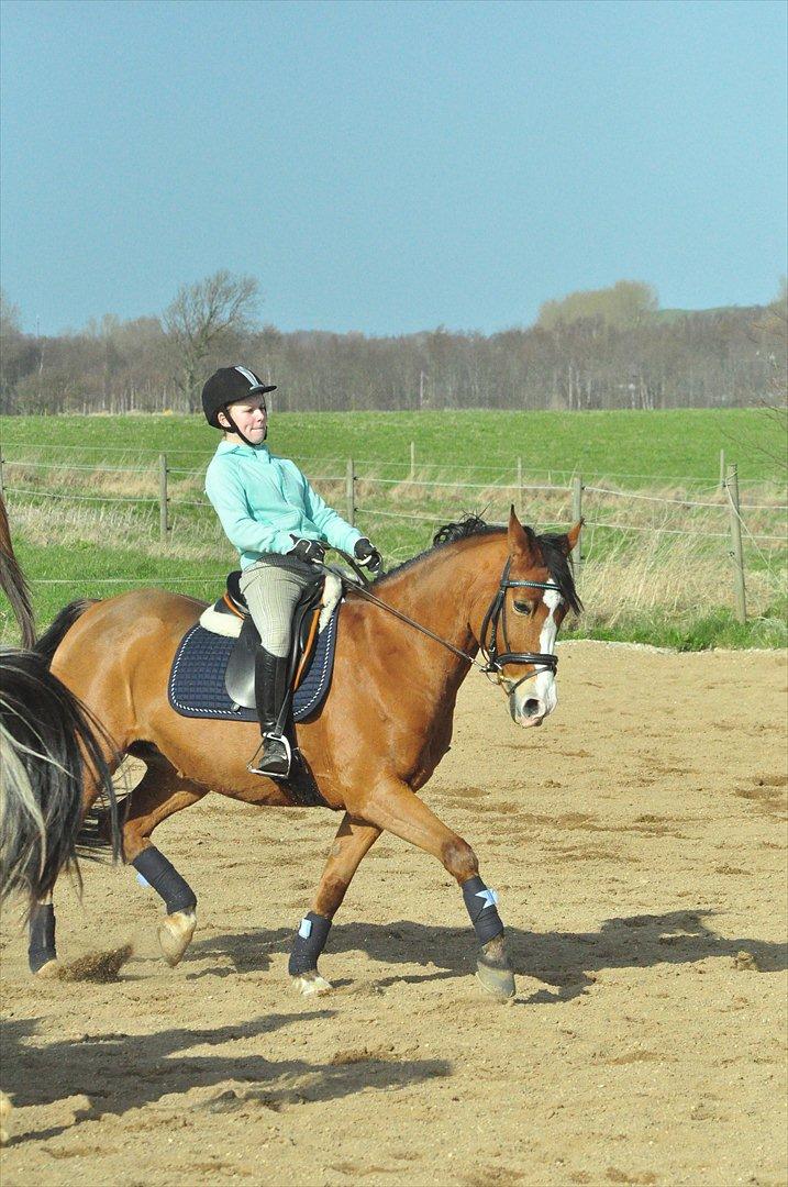 DSP Aluett <3 *min* (Savnet) - Sommer 2012 billede 11